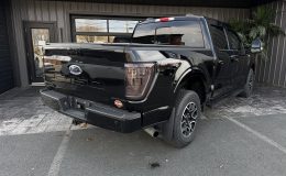 Aperçu 3 - 2021 Ford F-150 XLT