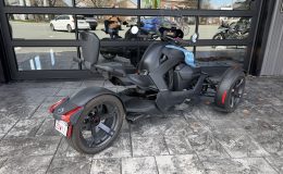 Aperçu 2 - 2022 Can Am Ryker 600
