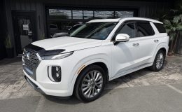 Aperçu 1 - 2020 Hyundai Palisade Limited